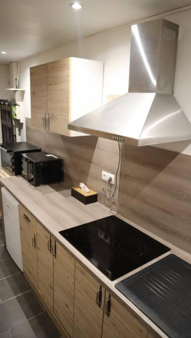 Maison Atypique, Centre-Ville 2+2 Pers Sauna Ir Sedan Kültér fotó